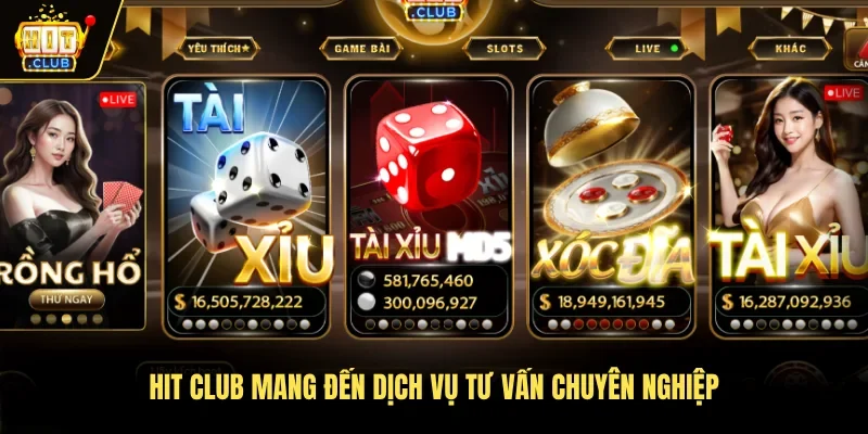 Hit club mang đến dịch vụ tư vấn chuyên nghiệp