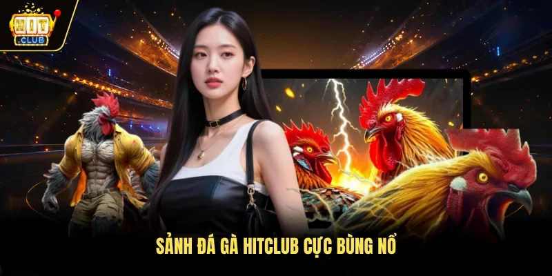Sảnh đá gà Hitclub cực bùng nổ